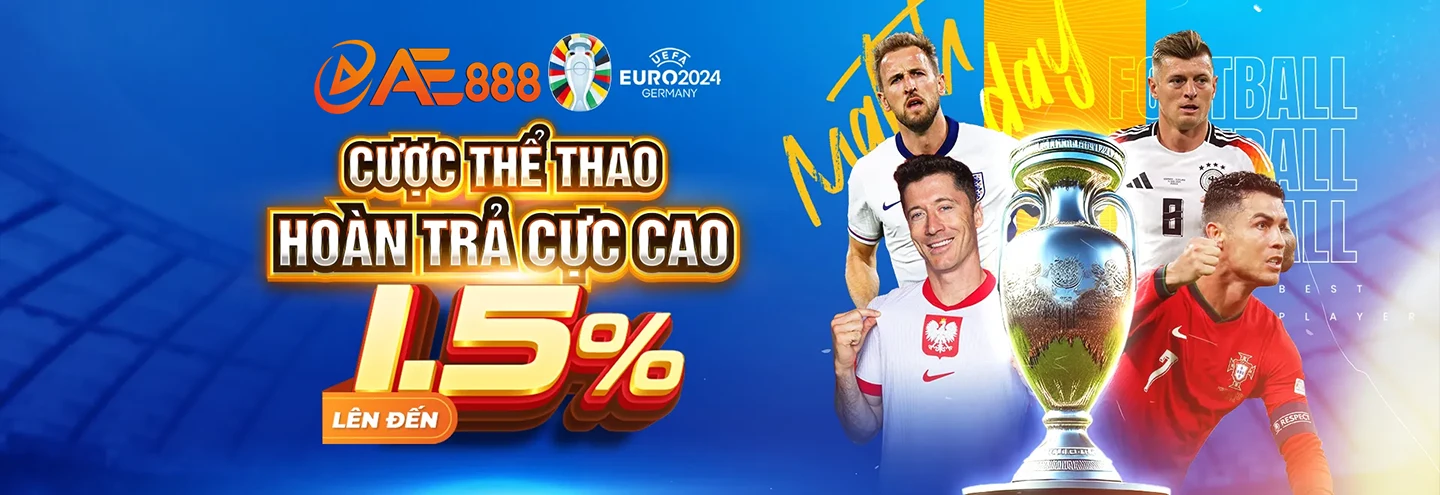 banner nhà cái ae888